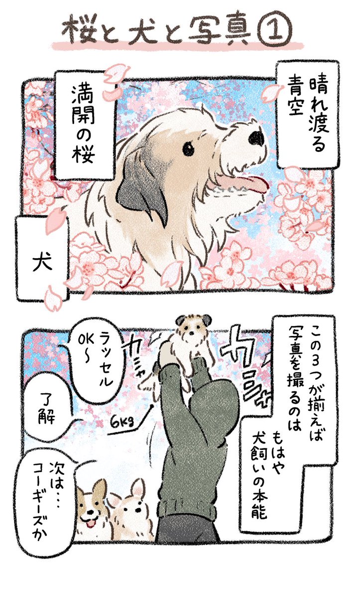 犬×桜🌸詰め合わせ 1/3
#漫画が読めるハッシュタグ 