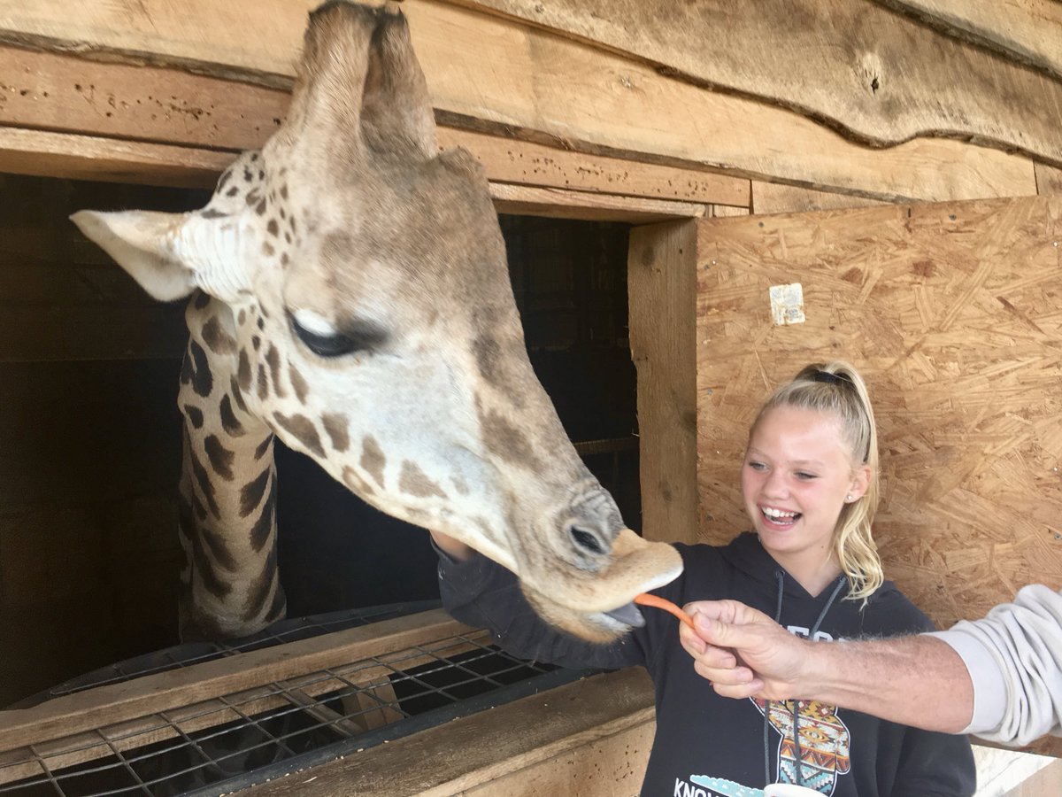 JasonHarperTV's tweet image. Wanna buy a zoo??  There’s one for sale in NC. 🦁🐯🐨🐻🐵🐼

qcnews.com/news/u-s/north…
📸: Me at ⁦@zootasticpark⁩ of Shelby 
⁦@Queen_City_News⁩ #Zootastic