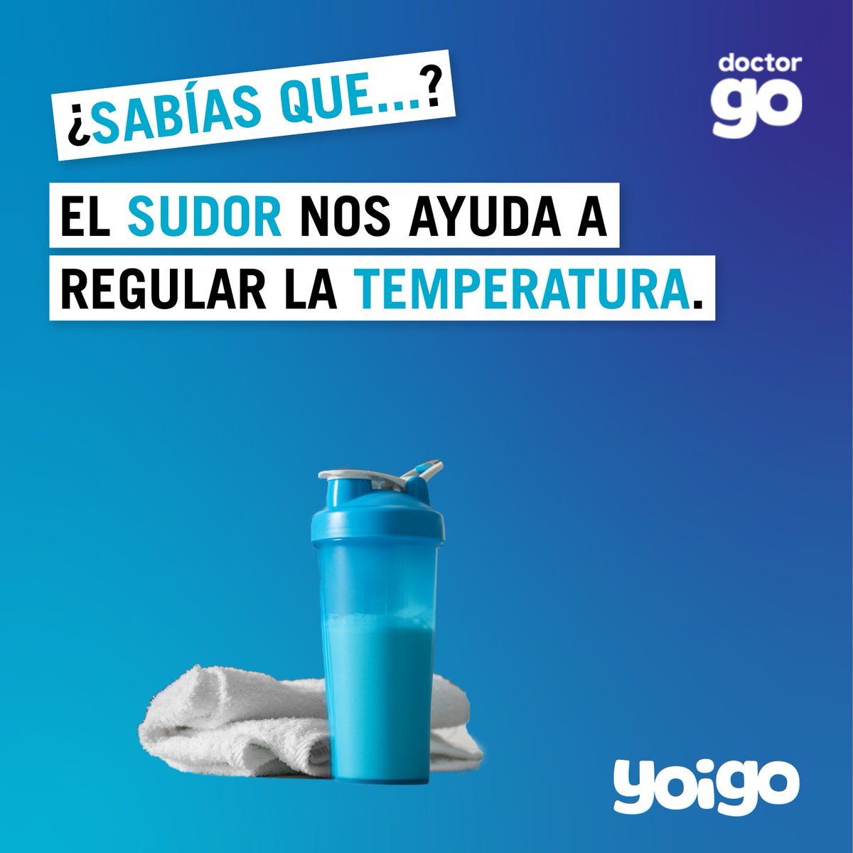 DoctorGo_'s tweet photo. Los team calor justificando 30º a la sombra. 🥵 https://t.co/o4Uttfi3an