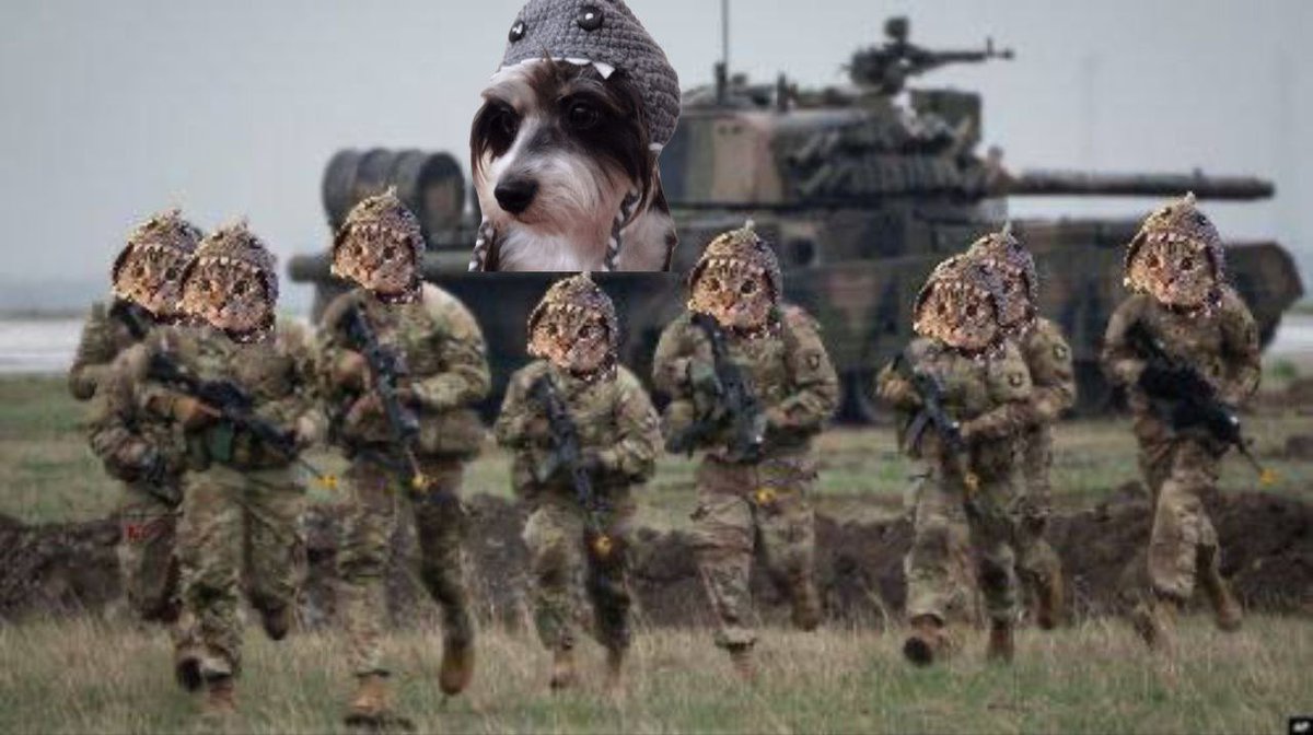 I am in the trenches, but my community is determined to get me out! 🦈🐶 $SD