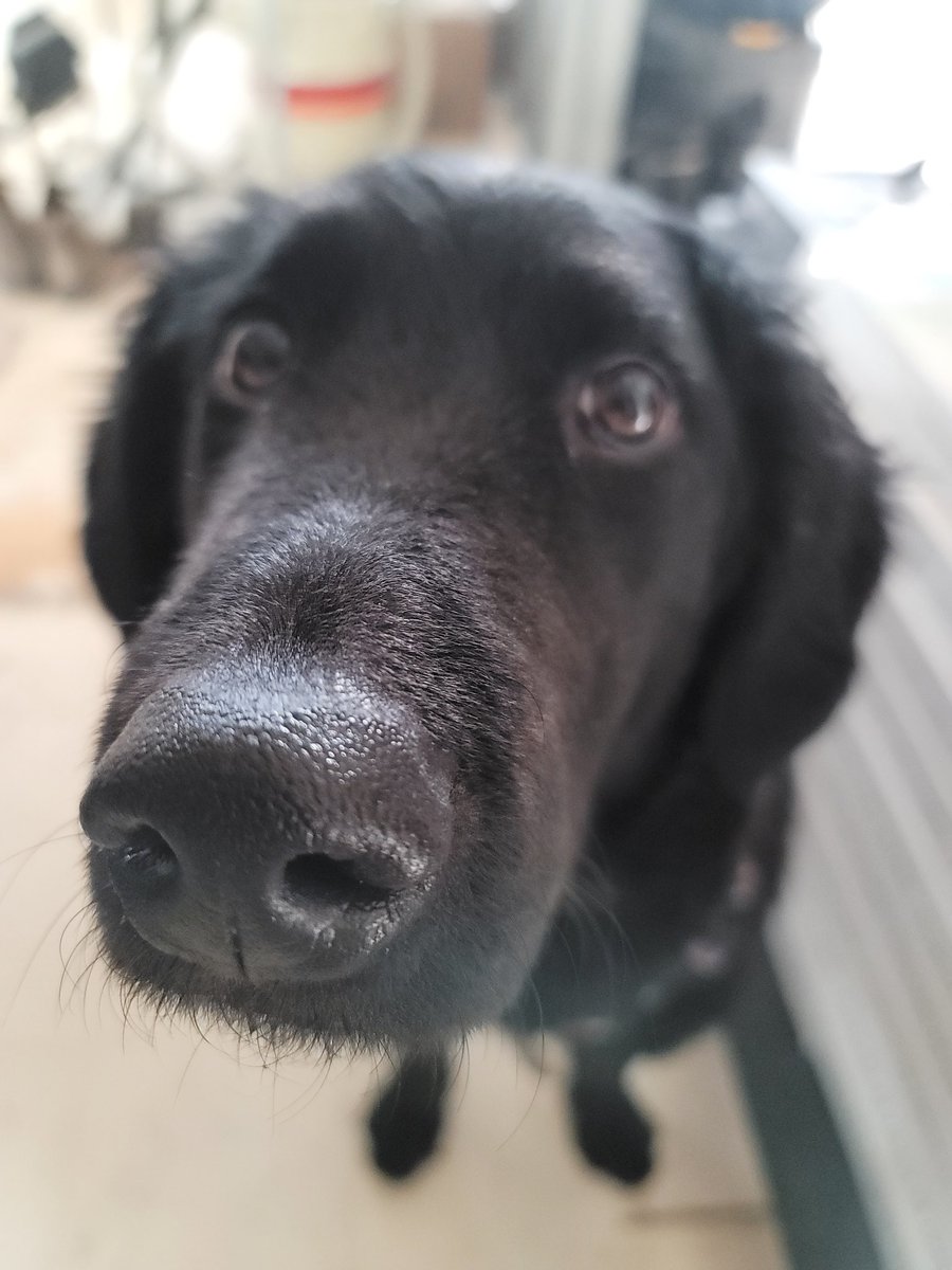 SNOWKING420.SOL❄️👑 #H$A tweet media