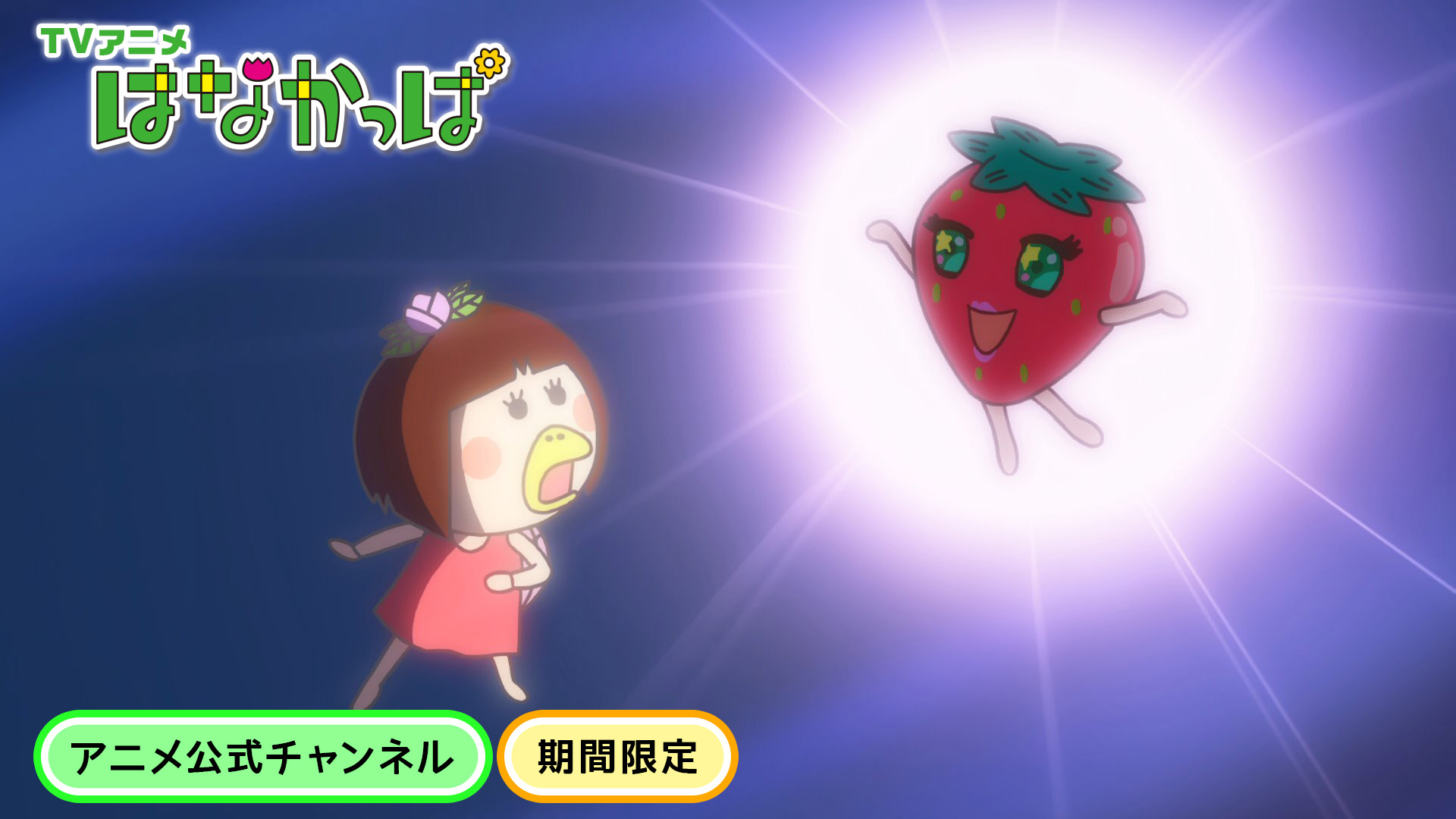 ももかっぱちゃん植木鉢(激レア)現在生産無し ももかっぱちゃん植木鉢(激レア)現在生産無し 激レア〕はなかっぱ