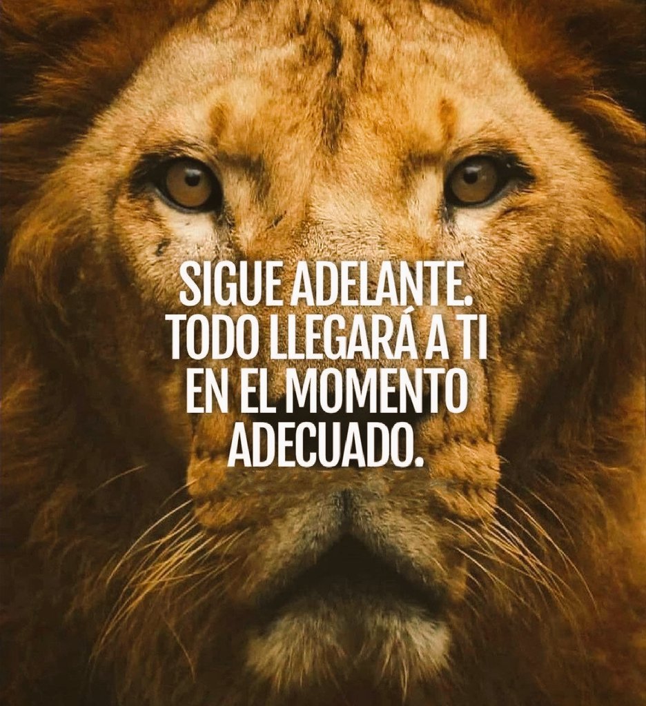 Jimsoza's tweet photo. 🌟✨PIENSA POSITIVO🌟✨

✨💰Sigue adelante💰✨ https://t.co/27qxcC7hAy