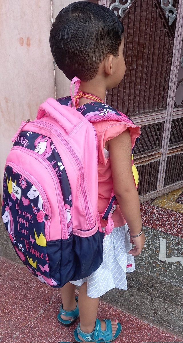 PuniyaRamkishan's tweet photo. यह नन्हा सा बच्चा गांव के एक छोटे से स्कूल में जा रहा था तो मैंनें अभिभावक से इस बैग की कीमत पूछी तो ₹1000 बताया.दिल्ली नगर निगम ने अपने नर्सरी से पंचम कक्षा तक के छात्रों को बैग खरीदने के लिए "120 रुपए" दिए हैं.120 रु.में कहीं बैग मिले तो बताना?
@LtGovDelhi @PMOIndia @HMOIndia https://t.co/vvMgi0s8ft