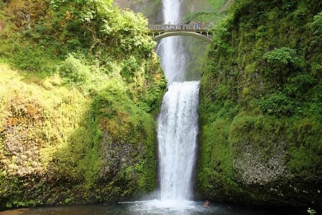 Luii1zzS's tweet photo. Multnomah Falls: Bridal Veil, Oregon

Multnomah Falls

There’s an old Native American story that says Multnomah Falls was created for a young princess who wanted a secret place to bathe. This is certainly a place of beauty, with a roaring cascade of over 600 feet, making it one of the tallest waterfalls in the US. If you’re feeling particularly gutsy, walk up the trail to Benson Bridge, which spans the falls and gives you an unobstructed view up to the top—and a stomach-churning view down the roughly 70-foot drop. Tours like this show you around Multnomah Falls and the Columbia River Gorge as part of a half-day excursion from Portland.