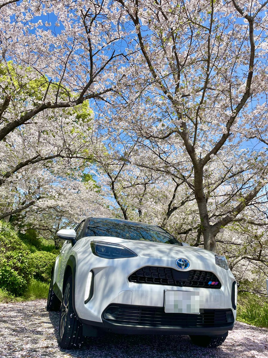N7Cs7's tweet photo. 🌸
#ヤリスクロス https://t.co/Wq9IuKrHsQ