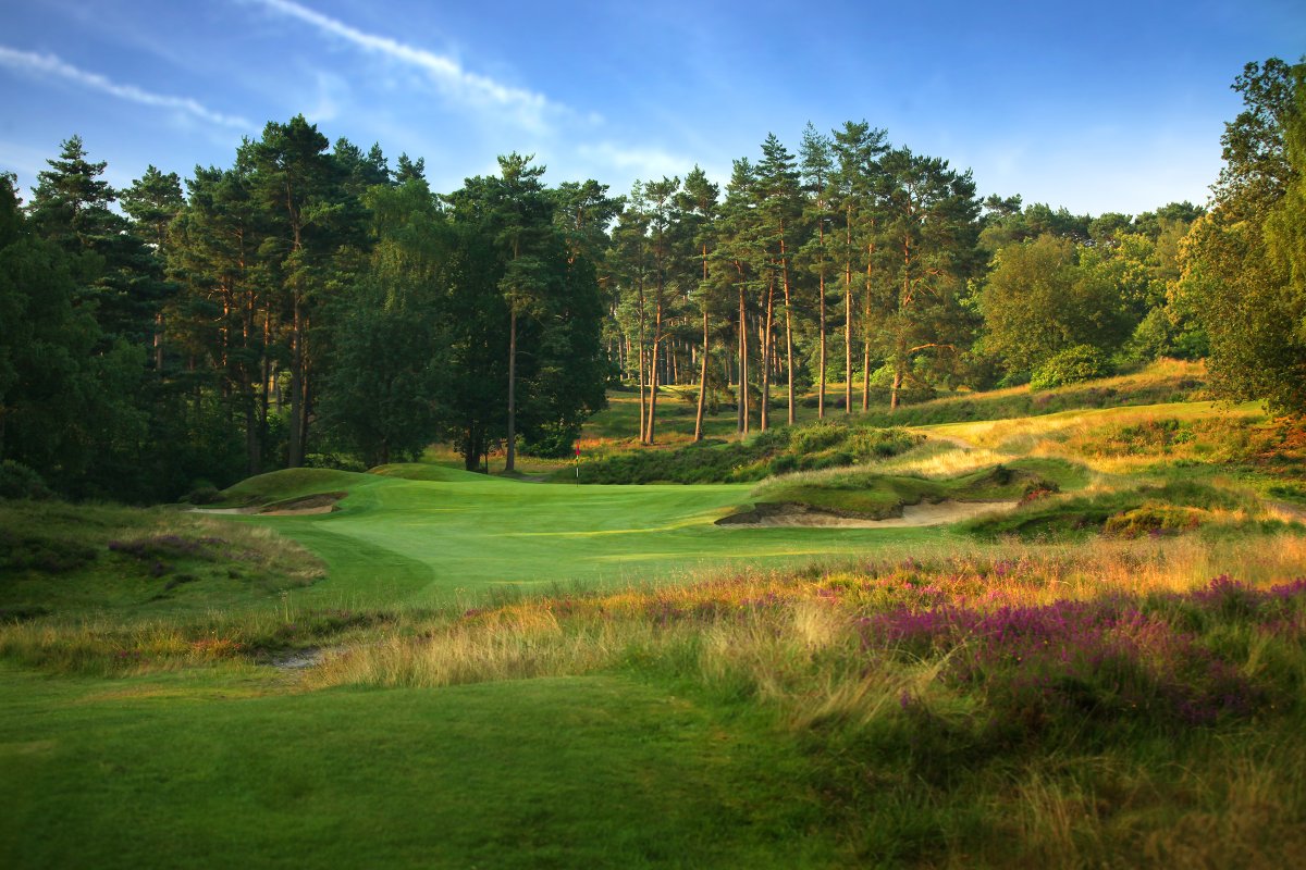 Nice Gig for @legendstour @Sunningdale today so a few Fav Pics of the day,  #loveGolf #GolfArt #KevinMurrayGolfPhotography #GolfMonthly #BanditGolfProductions #LegendsTour #Sunningdale