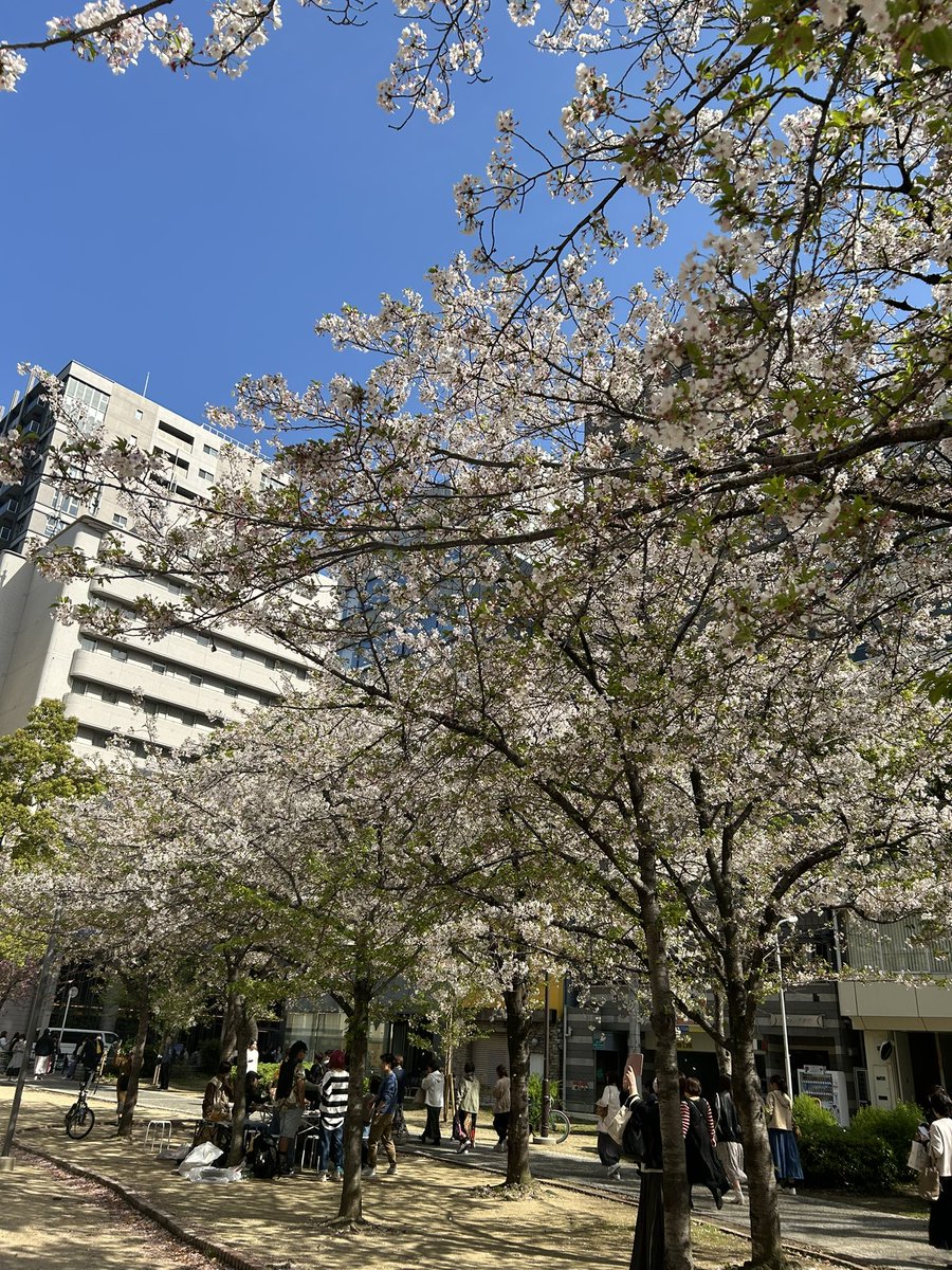 やあーゆ tweet media
