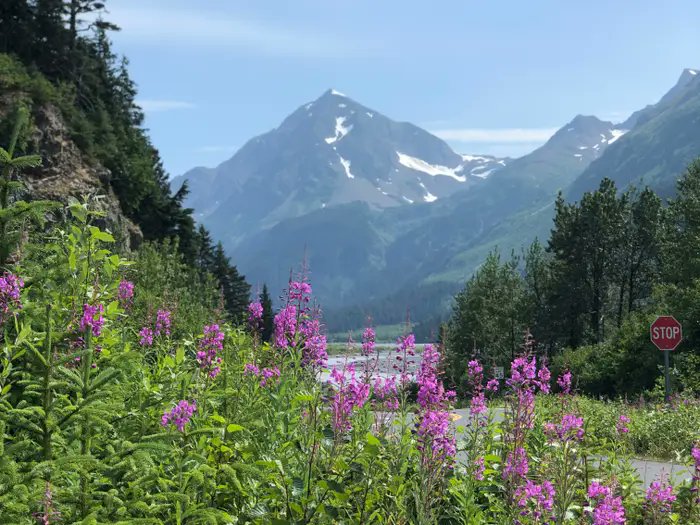 gui39889834's tweet photo. Seward, Alaska, offers both stunning views and lots to do.

I once spent a few weeks in the summer traveling solo in a van through Alaska.

Although the views throughout the state were some of the most beautiful I've ever seen, Seward was the place I never wanted to leave.

The port city is on the Kenai Peninsula and serves as the gateway to Kenai Fjords National Park.

Seward is the perfect place to enjoy the mountains and the sea.

Camp on the beach, kayak in the bay, or take a sightseeing tour to spot puffins, humpback whales, and sea otters.