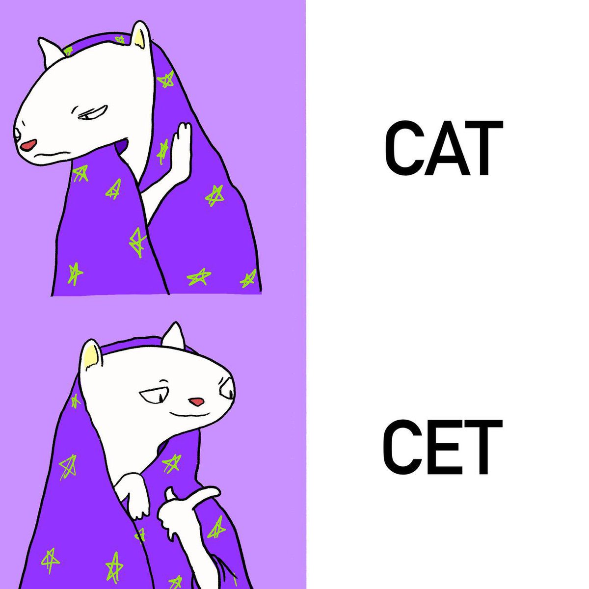 Cetdegen Community tweet media