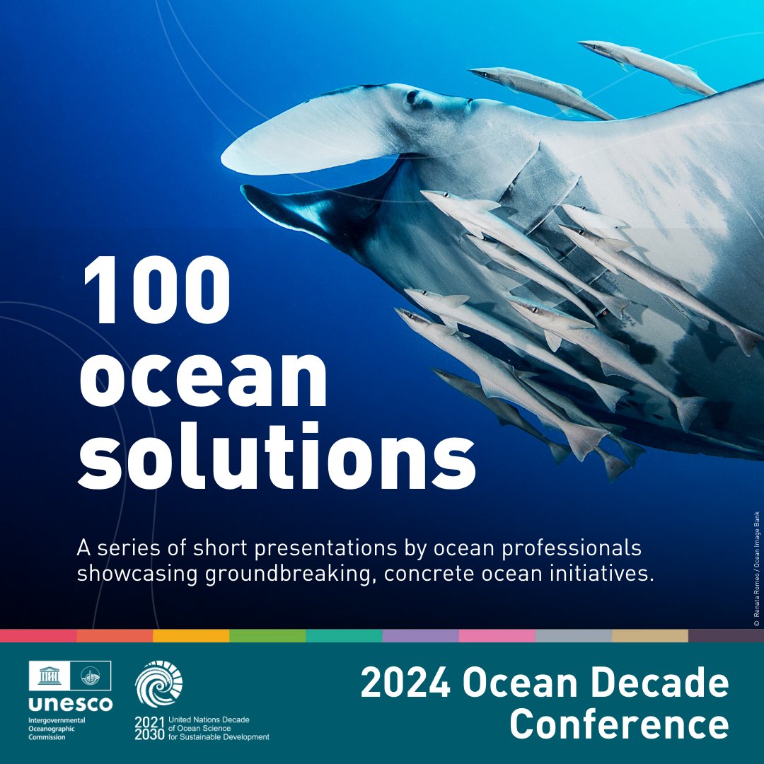 🌊 Are you attending #UNOD today? Stop by @BlueCloudEU booth #28 on federated & open research ecosystem on oceans, seas, coastal & in-land waters featuring #EMODnet input! Also, visit us at #DCC booth #9 on insights on the future of ocean prediction addressing Decade Challenges!