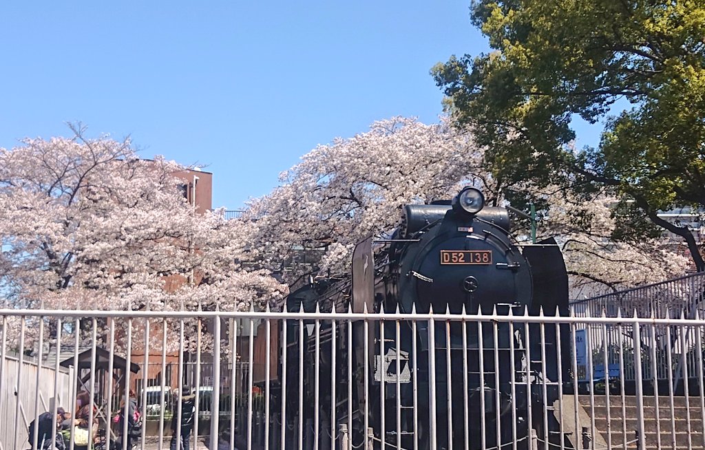 鹿沼公園の桜🌸
まだ見頃である一方、水面にはかなりの量の花びらが浮いてた🍃
次に開花する花がピンクの蕾を沢山つけている
展示されてる蒸気機関車と桜の組み合わせはなかなかいい🚂🌸
#相模原市 #淵野辺駅 #鹿沼公園 #桜