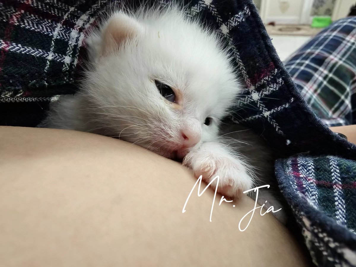 近期的生活碎片～
-宠物医生：“你可能是盯她盯的太紧了，她现在很健康，你放松点。”
-我母亲：“你能不能找宠物医院给大狗拍片子的仪器照照你的脑子，我他妈觉得是你脑袋现在有病。”

Anyway~我们的小姑娘已经三周大啦！