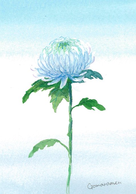 「blue flower still life」 illustration images(Latest)