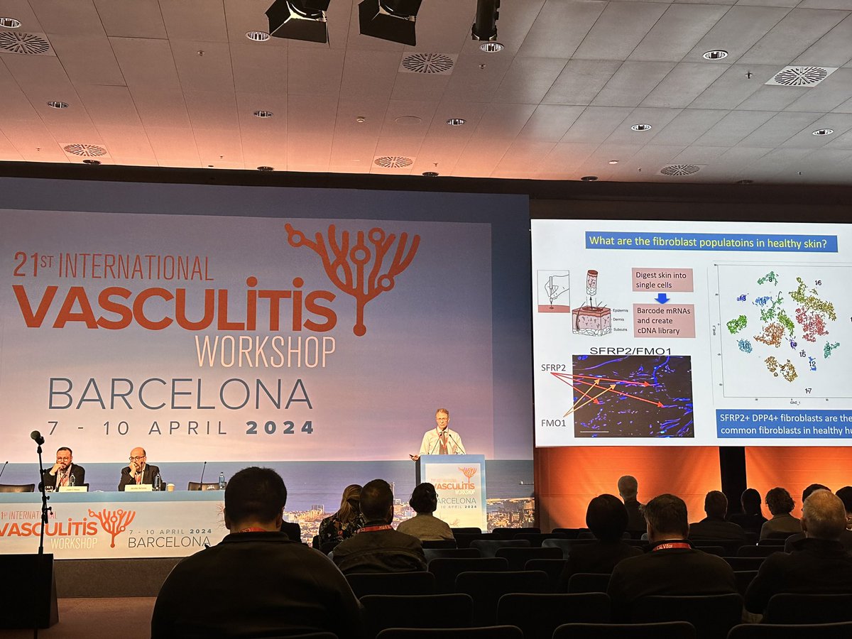 Dr. Lafyatis, from @PittRheum #Scleroderma center of excellence, opening the last day of @VasculitisBCN24 “Mechanisms of organ fibrosis”.