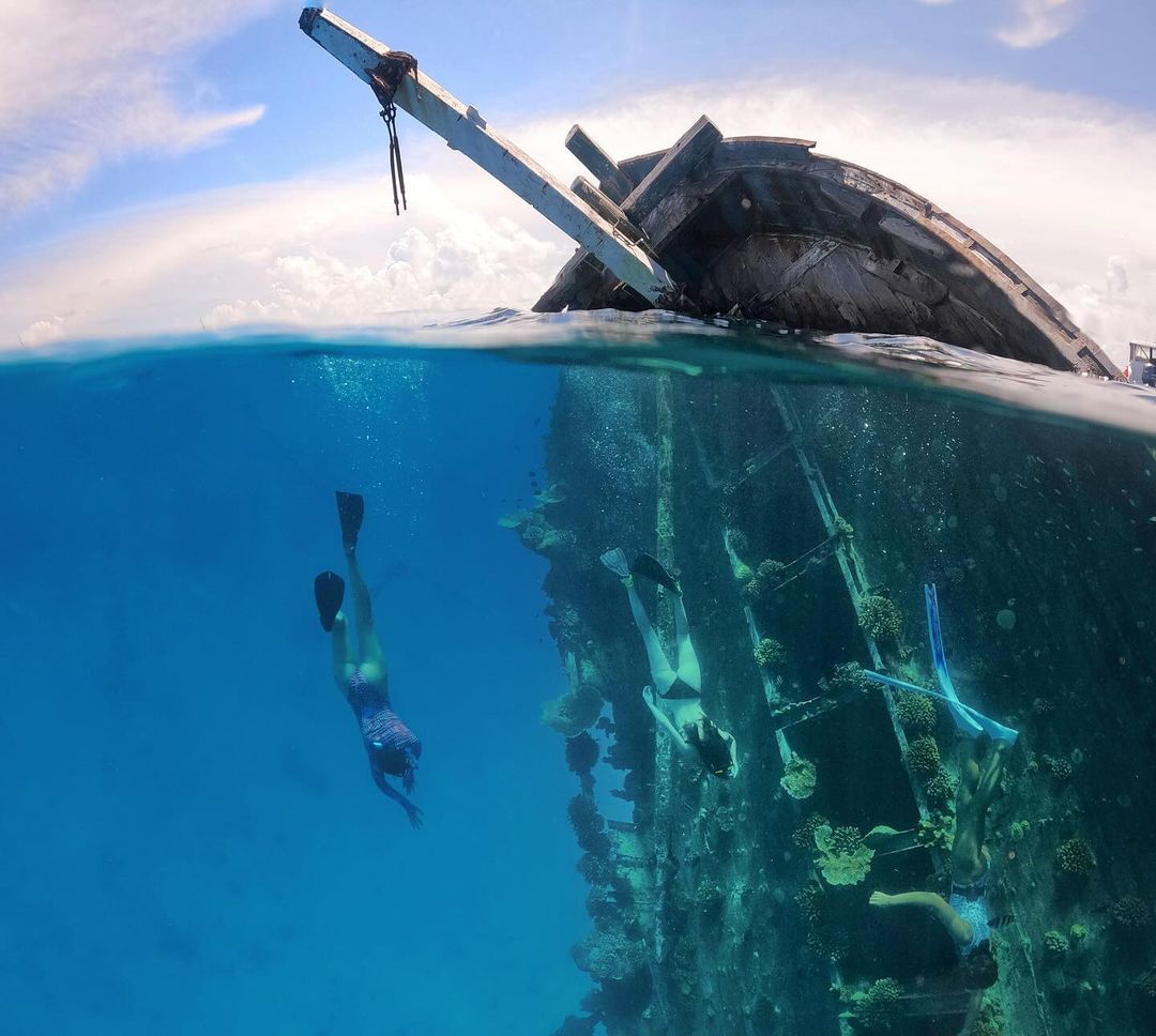 A dive into the majestic underwater world of the Maldives will truly be an experience you would never forget

📷 sai.pe_maldives

#IndianOcean'sLeadingDiveDestination2024 #Maldives #VisitMaldives #SunnySideOfLife