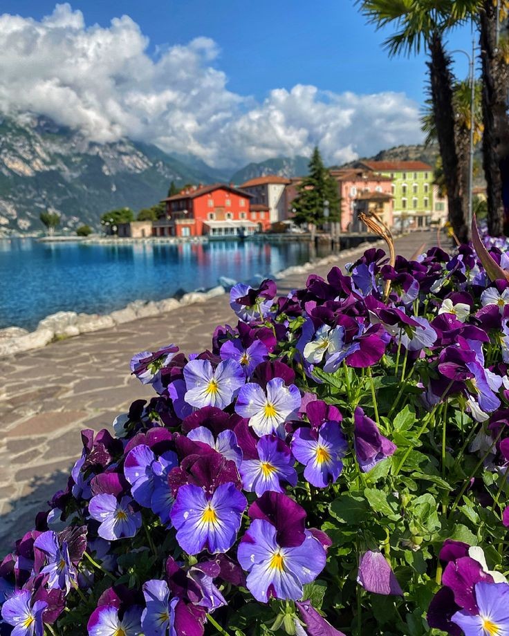 Good morning, have a beautiful day! ♥️

Torbole, Lake Garda
#Italy