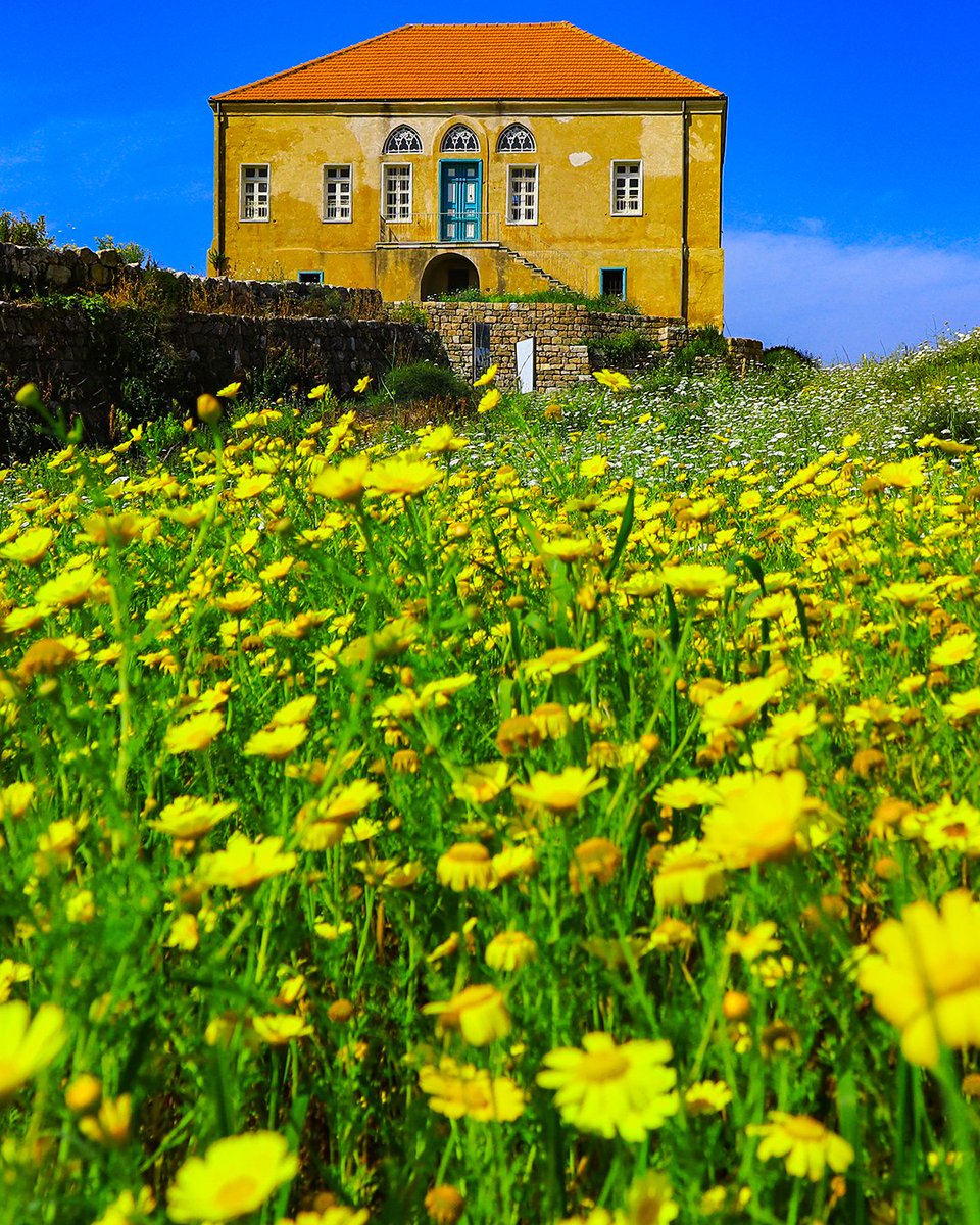 Spring at its best.

#lebanon #nature #chasingstories #stories #byblos #jbeil #revisited #castle