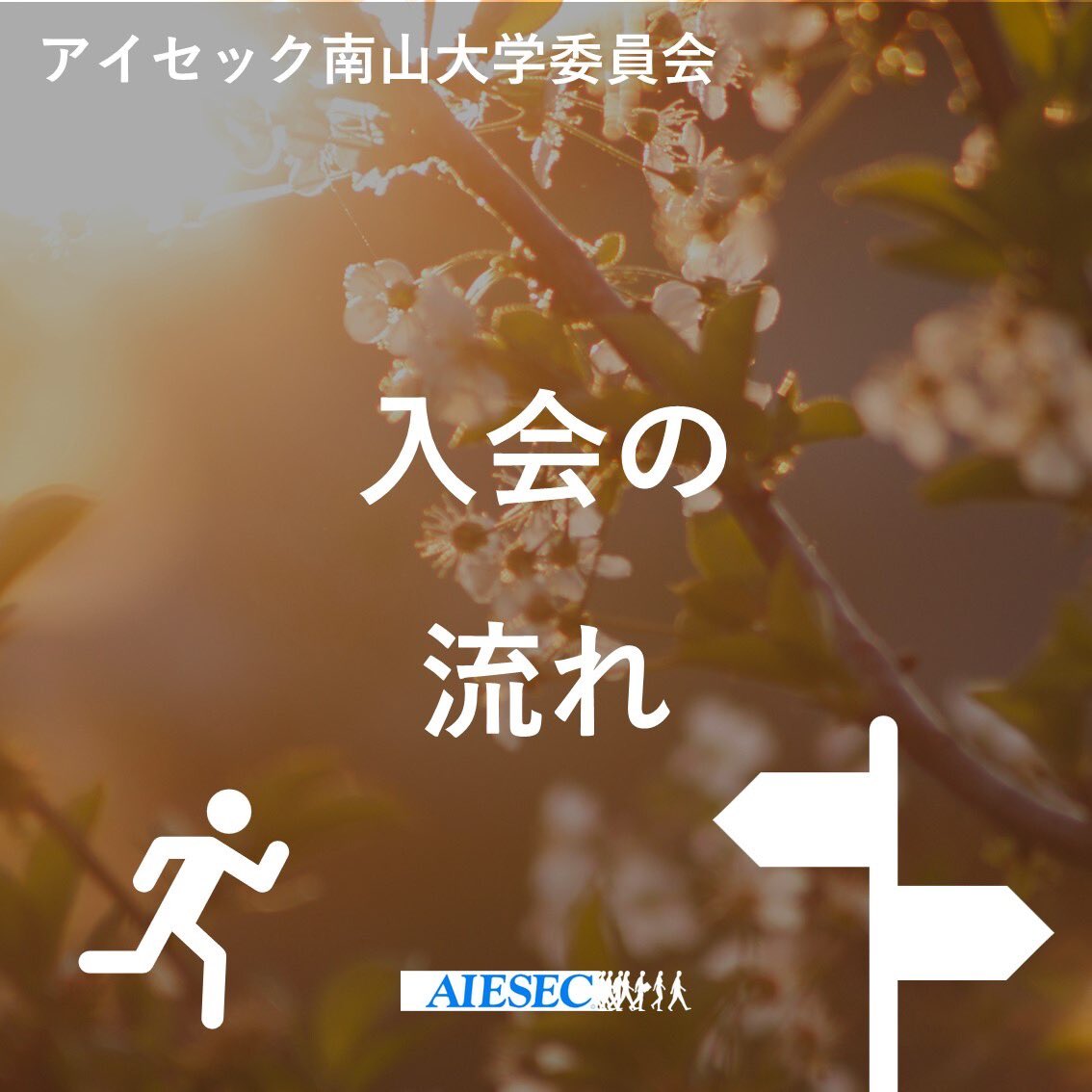 AIESEC_NZ's tweet photo. アイセック南山大学委員会入会までの流れをまとめました👀

入会を考えている方は、まずは説明会や個別相談会に参加してアイセック南山大学委員会の雰囲気を体感してみてください🌸

#アイセック #aiesec #withaiesec #春から南山 #南山フレマン2024 https://t.co/zeW6HK5uG5
