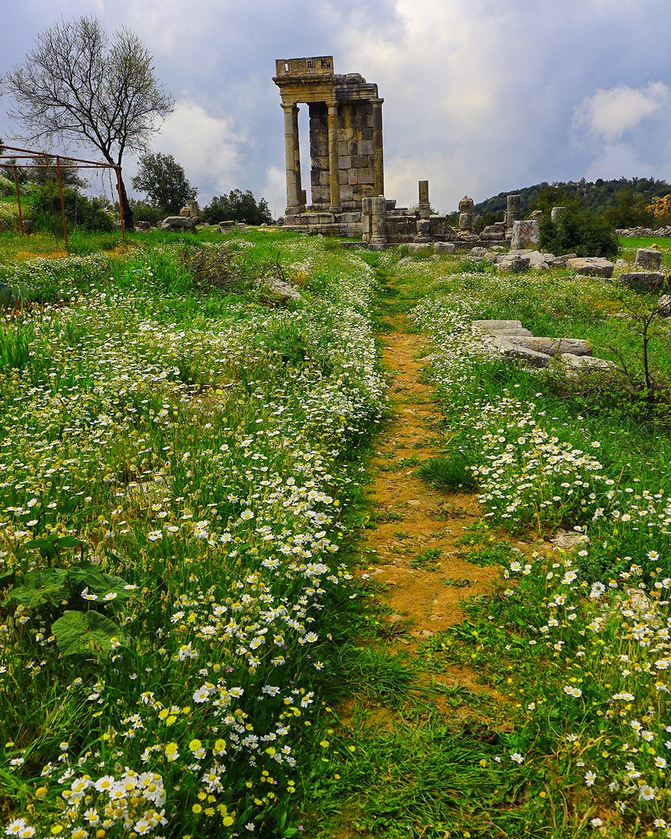 JessicaRahhal's tweet photo. Half-way up the road leading from Jbeil to Qartaba, at a height of 950m, situated at the place called Mashnaqa- Al Sawaneh.
#lebanon #chasingstories #stories #mashnaqa #romantemple https://t.co/hAwqoK0tGa