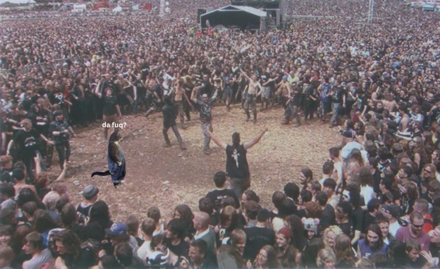 Da Fuq Cat On Sol tweet media