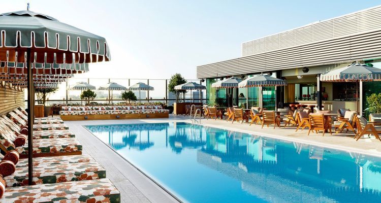 TownFish tweet media