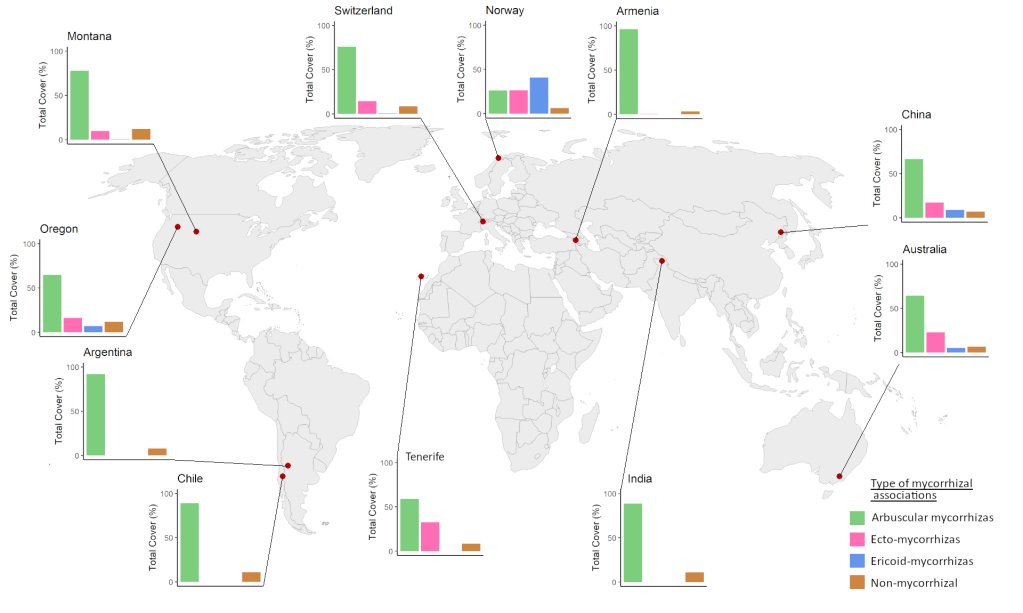 A NEW global paper by the <a href="/MIREN_mountains/">MIREN</a> network!
And an intriguing one: we checked the impact of mountain roads on the dominant mycorrhizal community worldwide.
In this summary👇, I'll show you how remarkably consistent these effects were...

the3dlab.org/2024/04/10/a-d…