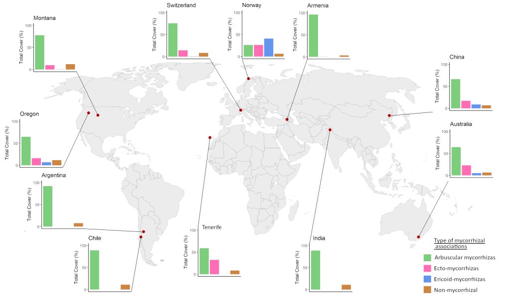 A NEW global paper by the @MIREN_mountains network! And an intriguing one: we checked the impact of mountain roads on the dominant mycorrhizal community worldwide. In this summary👇, I'll show you how remarkably consistent these effects were... the3dlab.org/2024/04/10/a-d…