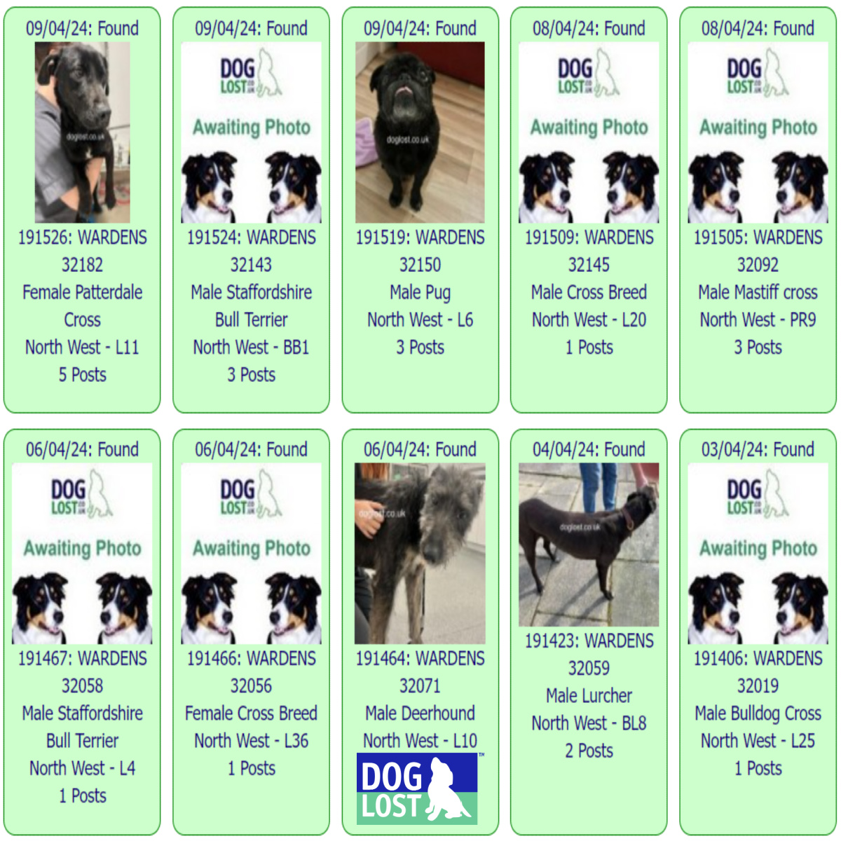 #FOUND #DOGS NORTH WEST * April 9th ~ April 3rd 2024 These #FoundDogs are on the @DogLost_UK site as being FOUND in our North West Area If you see your dog below go to doglost.co.uk and put the ID NUMBER (shown under the photo) into the search menu for more details