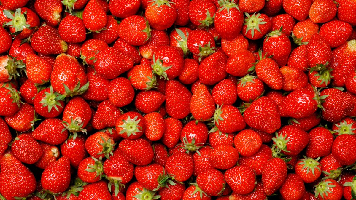 plantfullness's tweet photo. Forever chemicals' found in more than half of food and drink samples, testing shows
Strawberries were found to be the worst when it came to presenting residues of PFAs, long-lasting toxins which have been linked to serious health issues. #pesticides #food https://t.co/jgRn64sAd6 https://t.co/LB5ZKYVOhS