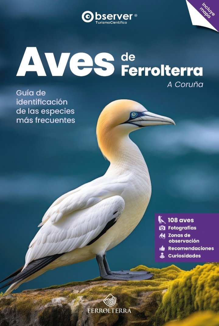 Observer®ScienceTourism tweet media
