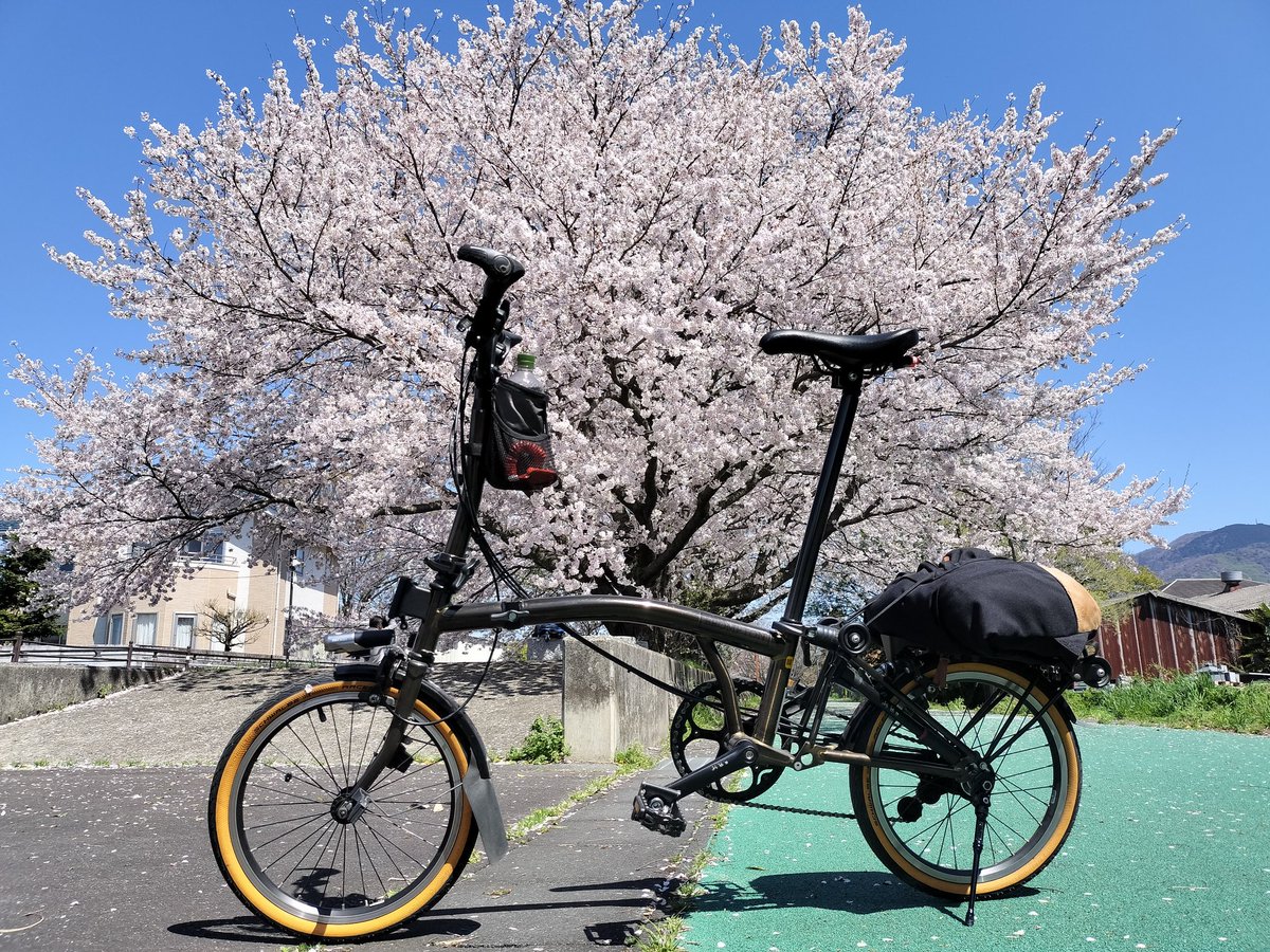 本日のつくばりんりんロード。まとめ。

・桜が咲き乱れるも人全然いない
・40kmサイクリングは少しきつめ
・輪行時ブロンプトンが重い
・やはり桜は青空が似合う
・廃線跡＆桜＆サイクリングは最高
・食料はセブン、フードストッカー
・道きれい。茨城県の本気感じる

思い立ったが吉日です！！☺