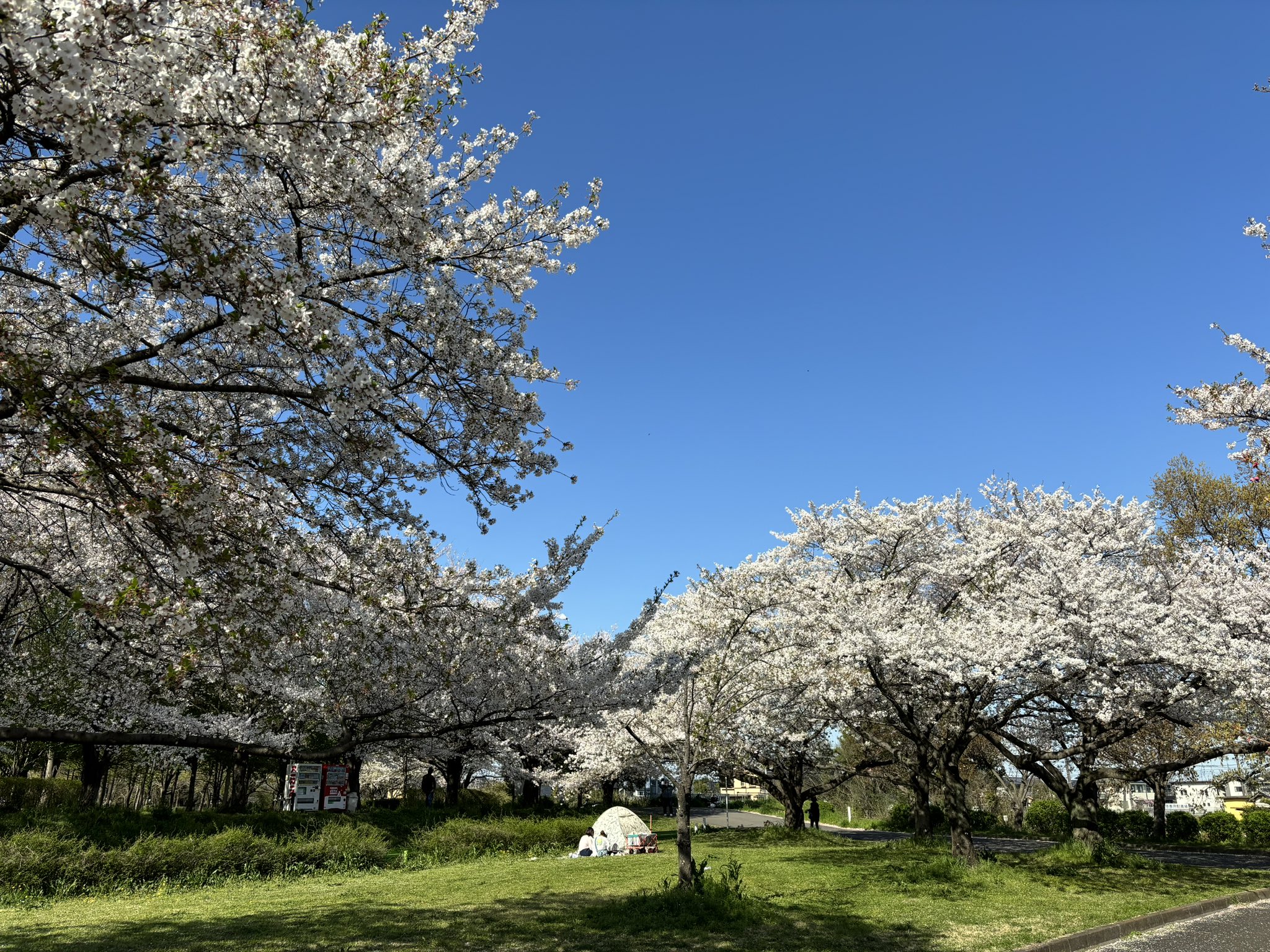公式】川越水上公園 on X: 