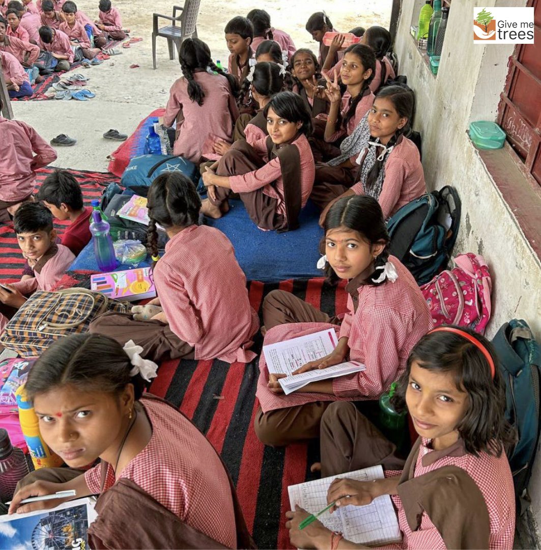 givemetrees's tweet photo. Session at CHHAJARSI Govt School near Sector 62, Noida! 🌱 Educating students about different plants and trees, planting seeds of knowledge and fostering a love for nature. 🌿 

#givemetrees #educationalsession #plantingagreenerfuture #sustainablefuture #givemetreestrust https://t.co/VLxsobepoK