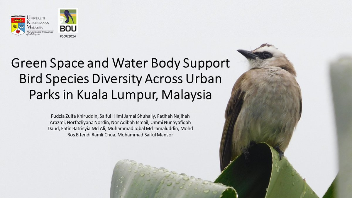 (1/6) Hi #BOU2024 #BREAK2! I'm Zulfa from The National University of Malaysia @ukm_my. I will be presenting on landscape factors that support bird species diversity across urban parks in Kuala Lumpur, Malaysia. Follow this thread to know more! 🐦🌳🧵