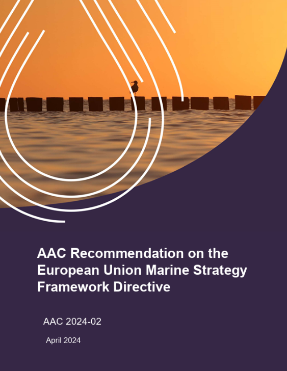 📬The AAC has published a new #Recommendation on the European Union Marine Strategy Framework Directive 🐟🦪 @EU_MARE @EU_ENV #MSFD 
👉Learn more about the AAC's stance & policy recommendations here: bit.ly/4cPDqnd 🌊