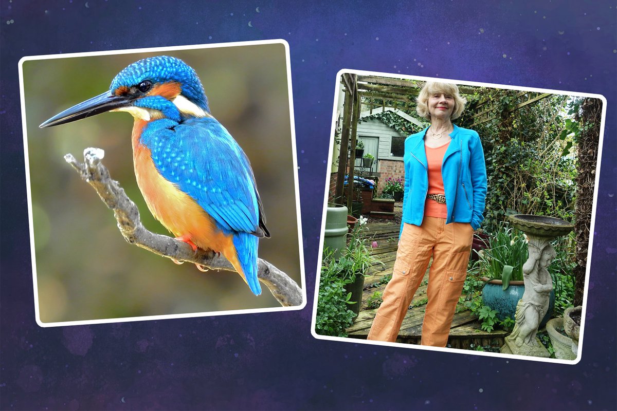 👗Fashion ideas inspired by birds!🦚 #Fashion #lifestyle #Baking #Books #Gardening and more Plus check out this week's link-up blog from @gail_h isthismutton.com/2024/04/inspir…