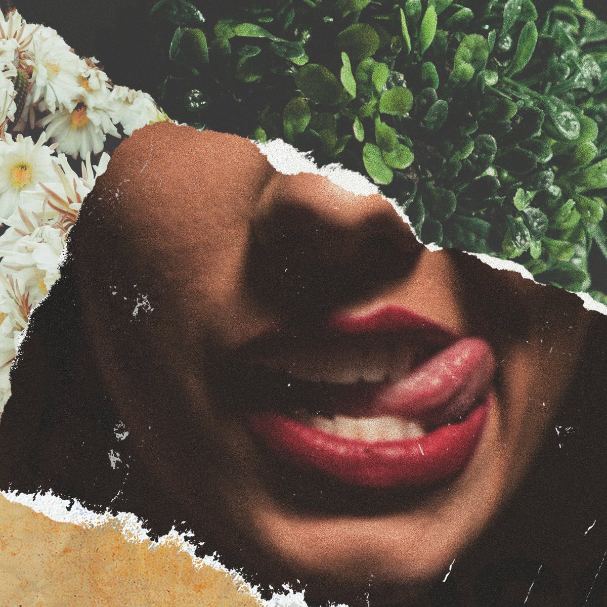 gm, 1mouth #04, digital collage 👄