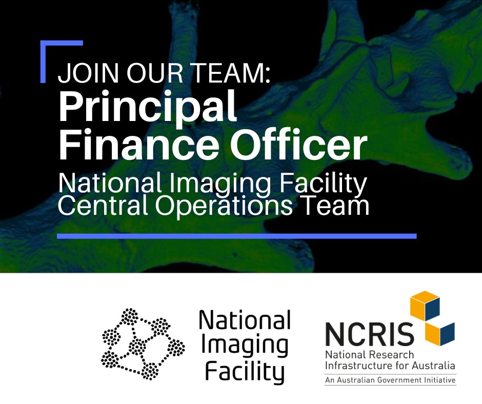 #JobAlert: We're looking for a Principal Finance Officer

Support NIF's operations as Australia's advanced imaging network - providing a range of high-level accounting advice and services.

More information and apply: seek.com.au/job/75043256

Applications close Tuesday, 23 April