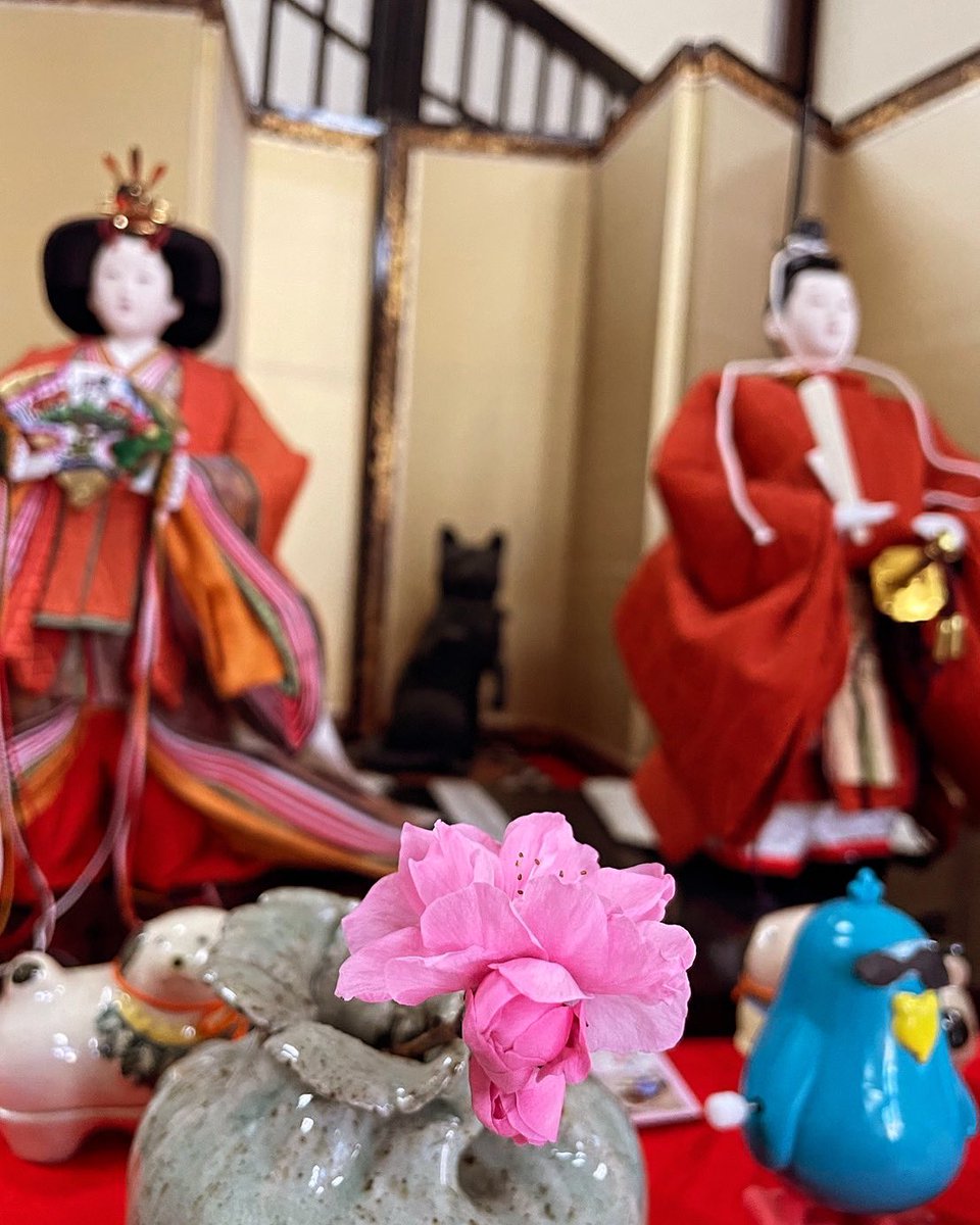 旧暦の4/3などに雛祭りをする地域もあるので、青峰堂のお雛様もまだ飾ってあります🎎
にゃんじろうが取ってくれた桃の花を生けました♪