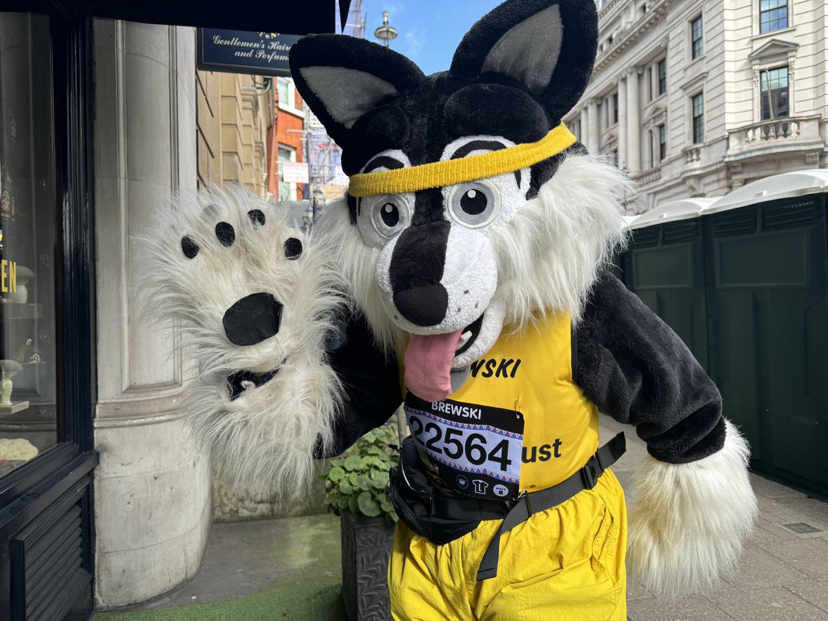 MarathonMongrel's tweet photo. Me &amp; my hooman, @marathonminx are on a mission! 3,000 miles in 2024 for @DogsTrust We’re counting doggos along the way! I saw 39 🐾on Sunday #LondonLandmarksHalf How many will she see on the 1030 mile LEJOG starting June 1st?!💛🐾💛🐾 https://t.co/G5FJbjqbsv