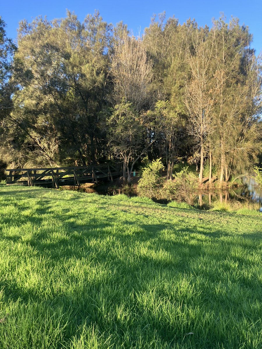 PatricktheQLDer's tweet image. Turns out Toowoomba can be pretty nice sometimes