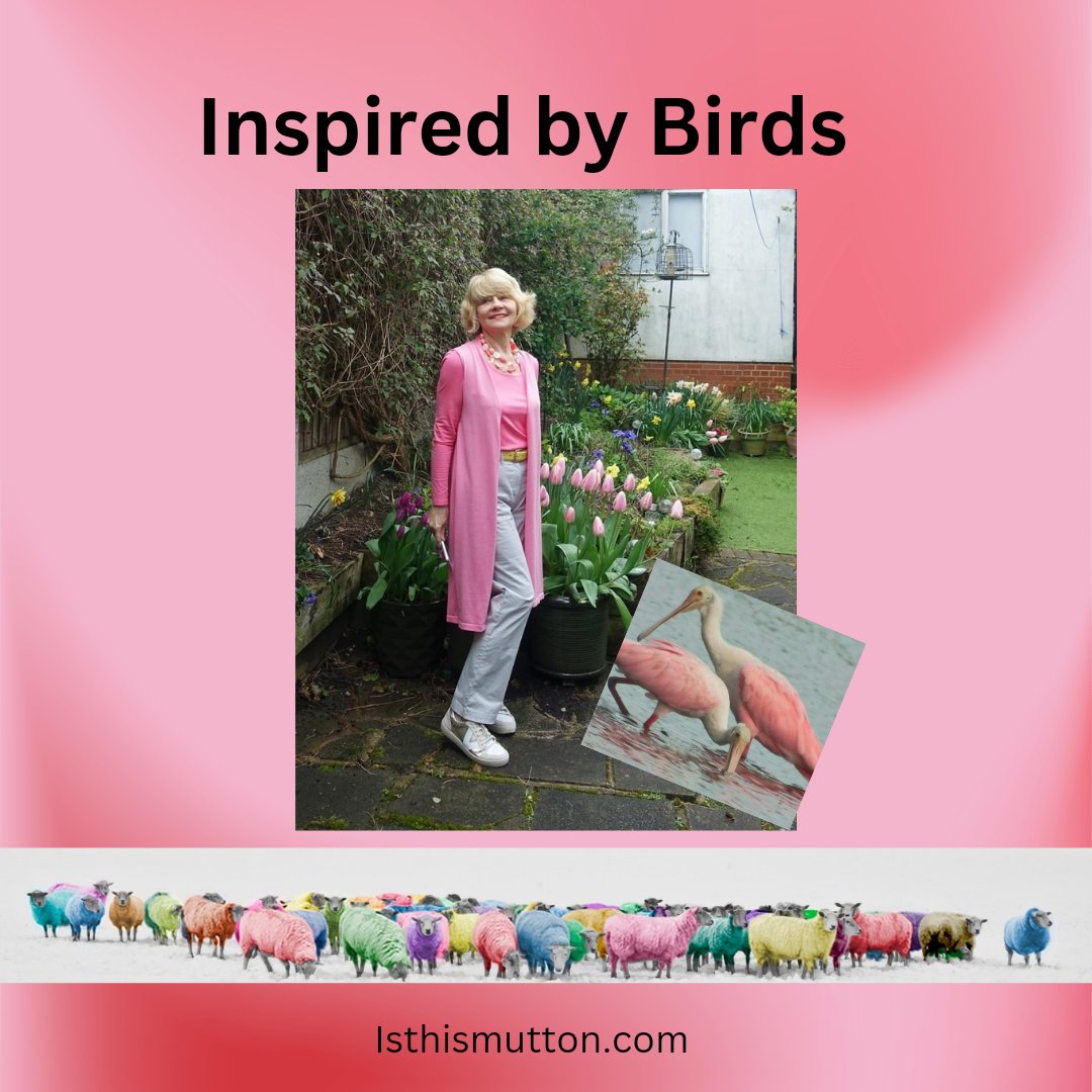 Inspired by beautiful birds! Four outfits featuring the colours of plumage. Come and join the link-up. isthismutton.com/2024/04/inspir… #fashionover50 #linkup