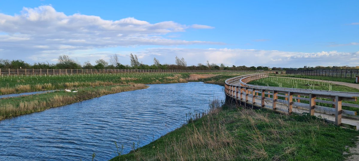 ONLINE ENTRIES ARE CLOSING TODAY 🙅 🏃🏽‍♀️ Flat and scenic course 🥳 Friendly atmosphere 🏅 Sustainable medal 📷 Free photos 🛍 Finisher goodies 🙌 Supports local charity @cambridge_acorn_project Don't miss out! Sign up today 👇 northstowehalf.co.uk #running #northstowe