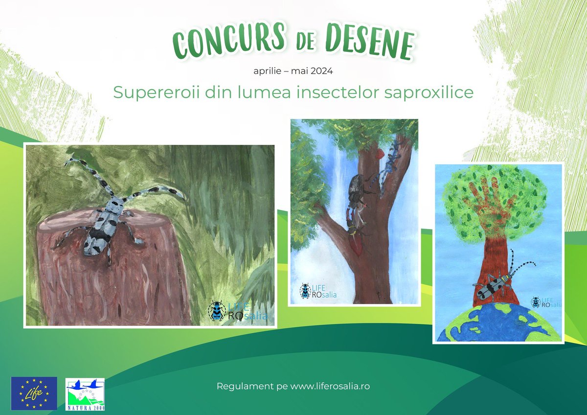 The #ArtCompetition 'Superheroes of saproxylic insect world' 🎨🪲 is on. We are excited to see the artworks of the 2024 edition🤩

More info about the contest 👇
liferosalia.ro/concurs-de-des…

#SaproxylicInsects #HealthyForest #biodiversity #conservation #LifeROsalia #LIFENature