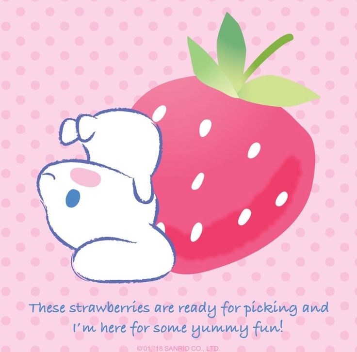 @cinnamon_sanrio シナモン、イチゴも好きですか？ 🩵🍓💙🍓🩵