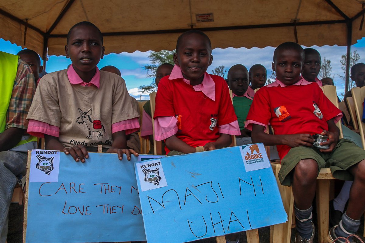 Donkey Care Club kids sensitize the public on animal welfare freedoms during community functions. #DCC #mtunzepundadaima