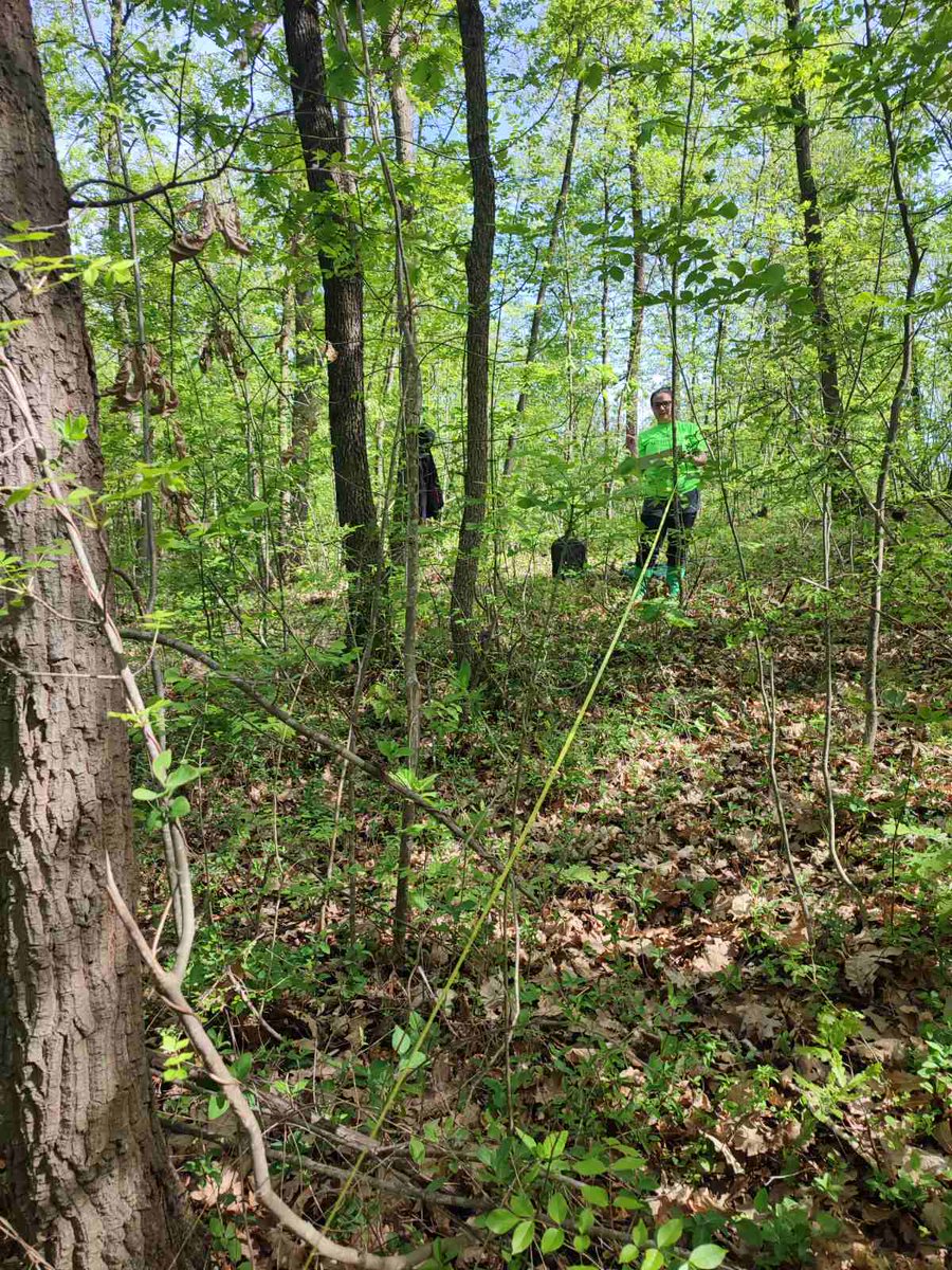 CoppiceForestRS's tweet photo. 📢Our team as a part of @SUPERB_project started with field activities. 🌳🌱 https://t.co/vqDD66YF6z