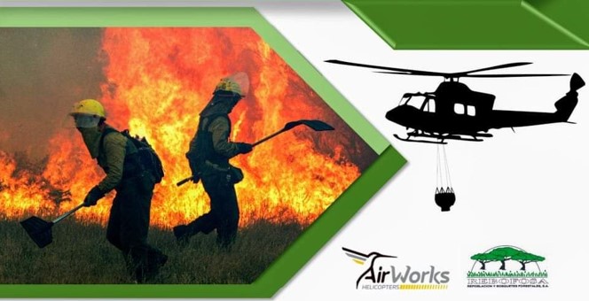 alourizan's tweet photo. Oferta de emprego nas Bases Helitransportadas de Galicia.(2024)
Máis info na nosa páxina web https://t.co/YnkXt10W7U https://t.co/snRxzmxOwm