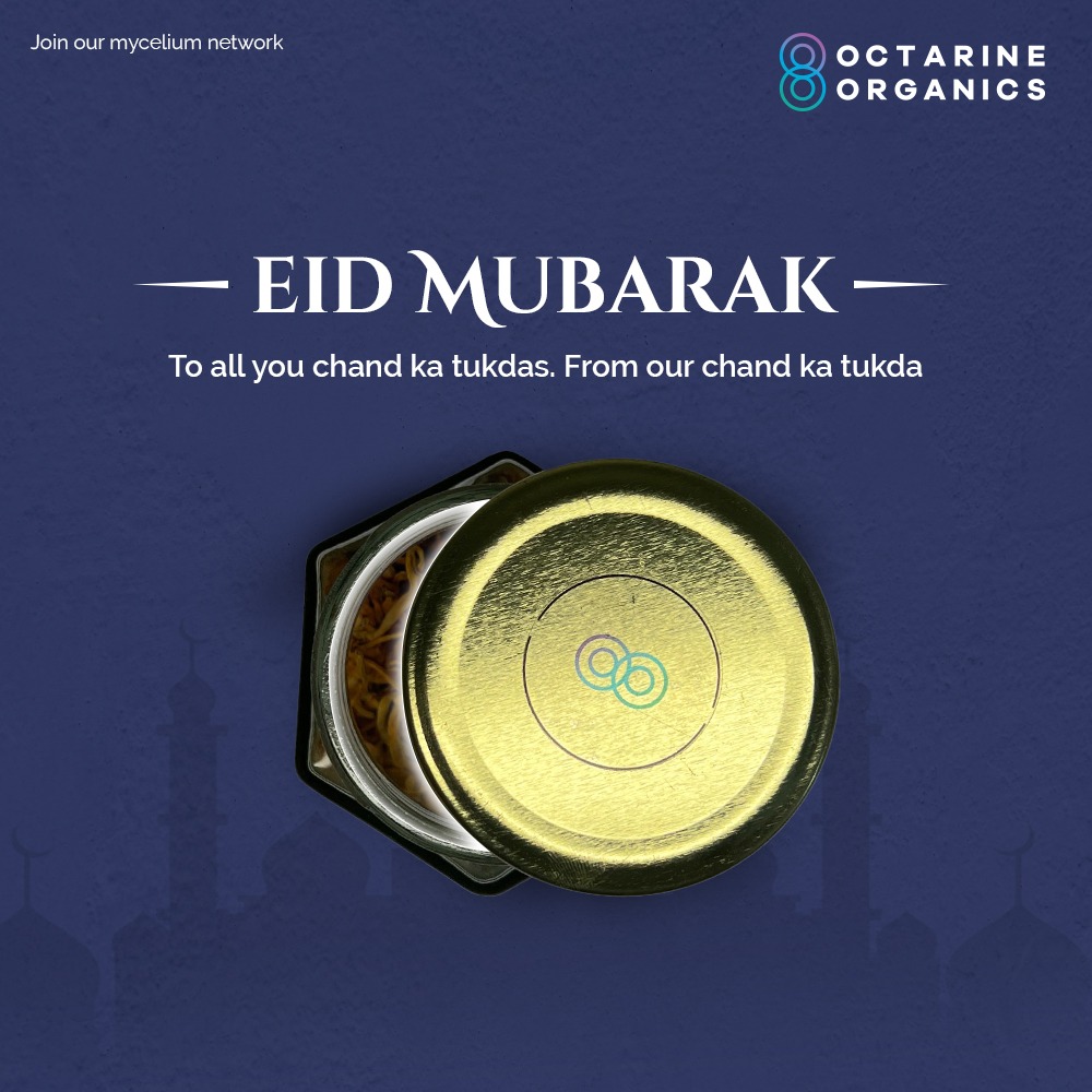 Kyuki humare chaand ke tukde deserve the most delicious health boosters after a month of fasting

Eid Mubarak! 🌙🥰

#Eid #EidMubarak #EidUlFitr #Chaand #OctarineOrganics #OO #Mushrooms #MushroomFarming #Vegan #HealthyFoods #Organic